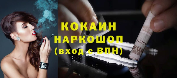 стаф Арсеньев