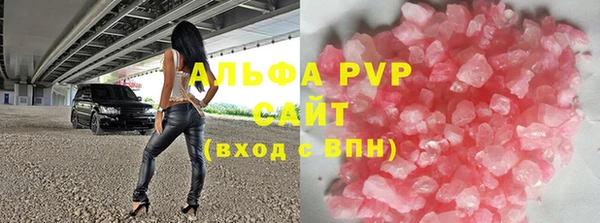 стаф Арсеньев