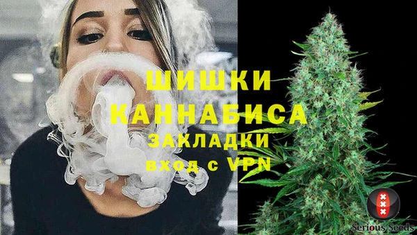 амф Аркадак